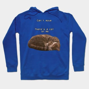 Po the cutest small legged cat Hoodie